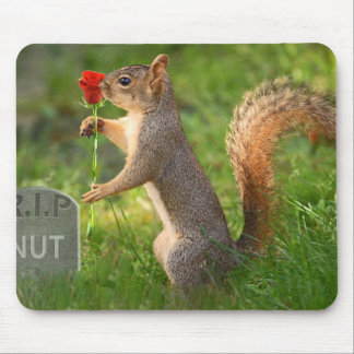 BizzareWorld Mourning Squirrel Mouse Pad