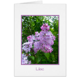 BJH "Garden Retreat" Collection Greeting Card