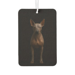 Black 4 Luxe Car Air Fresheners Argentina Pila Dog