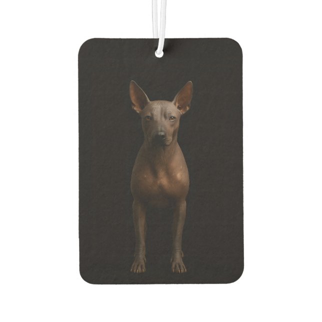 Black 4 Luxe Car Air Fresheners Argentina Pila Dog (Back)
