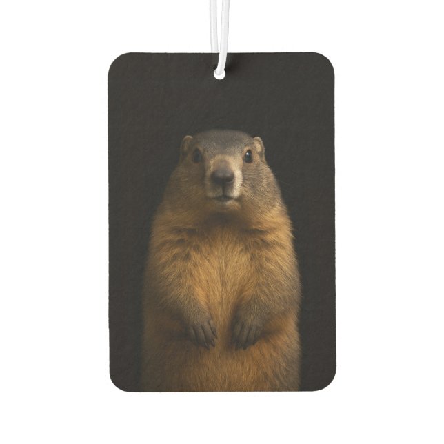 Black 4 Luxe Car Air Fresheners, Fluffy Marmot Freshener (Back)