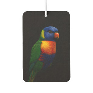 Black 4 Luxe Car Air Fresheners, Lorikeet Parrot Car Air Freshener