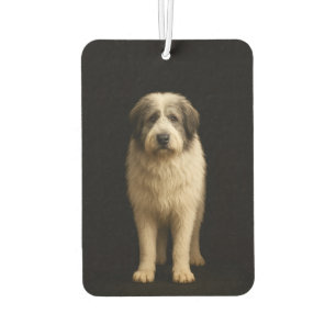 Black 4 Luxe Car Air Fresheners Mioritic Shepherd