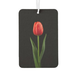 Black 4 Luxe Car Air Fresheners Ruby Red Tulip
