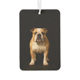 Black 4 Luxe Car Air Fresheners Stamina Bulldog