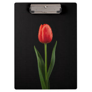 Black 4 Luxe Clipboard, Ruby Red Tulip Clipboard