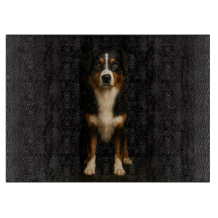Black 4 Luxe Glass board Aussie Shepherd
