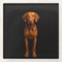 Black 4 Luxe Glass coaster, Agile Vizsla Dog