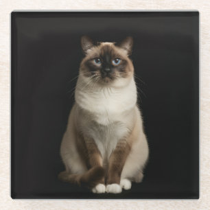 Black 4 Luxe Glass coaster, Birmanese Cat Coaster