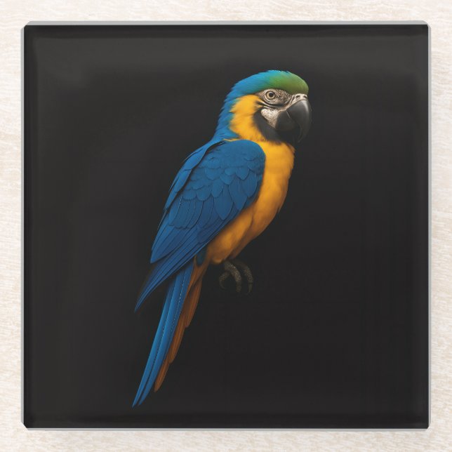 Black 4 Luxe Glass coaster, Blue Yellow Macaw Coaster (Front)