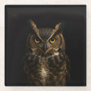 Black 4 Luxe Glass coaster, Golden Eyed Owl Coaster
