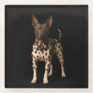 Black 4 Luxe Glass coaster, Hairless Terrier Dog Coaster