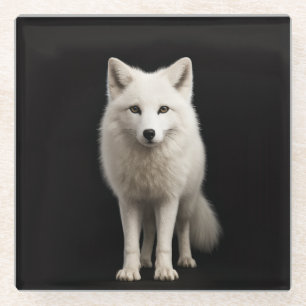 Black 4 Luxe Glass coaster, Ivory Arctic Fox Coaster