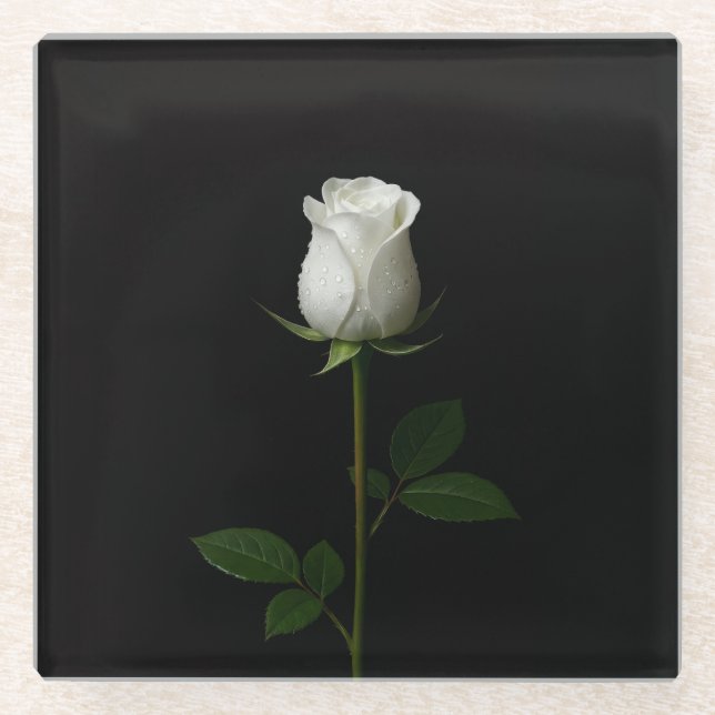 Black 4 Luxe Glass coaster, Pure White Rose Glass Coaster (Front)