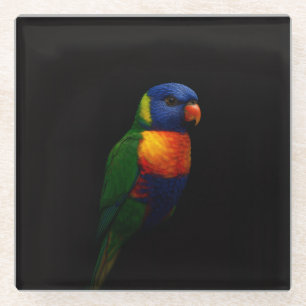 Black 4 Luxe Glass coaster, Rainbow Lorikeet Coaster