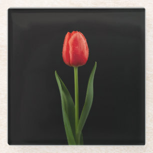 Black 4 Luxe Glass coaster, Ruby Red Tulip Glass Coaster
