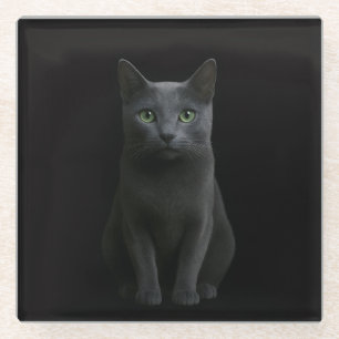 Black 4 Luxe Glass coaster, Russian Blue Cat Coaster
