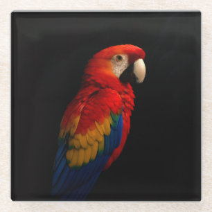 Black 4 Luxe Glass coaster, Scarlet Parrot Coaster