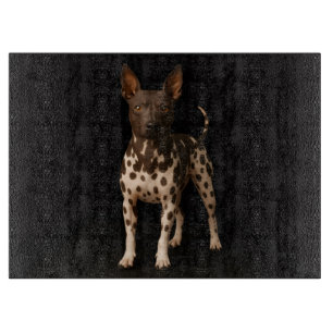 Black 4 Luxe Glass cutting board Hairless Terrier