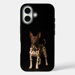 Black 4 Luxe iPhone 16 Mate, Hairless Terrier Dog iPhone 16 Case