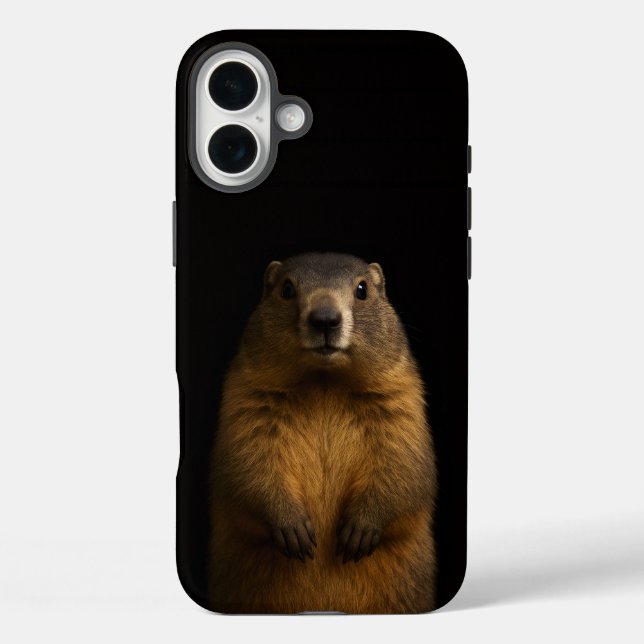 Black 4 Luxe iPhone 16 Plus, Fluffy Marmot Case-Mate iPhone Case (Back)