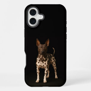 Black 4 Luxe iPhone 16 Plus, Hairless Terrier Dog Plus Case
