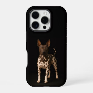 Black 4 Luxe iPhone 16 Pro, Hairless Terrier Dog Pro Case