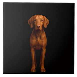 Black 4 Luxe Tile with Agile Vizsla Dog