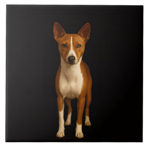 Black 4 Luxe Tile with Classy Basenji Dog