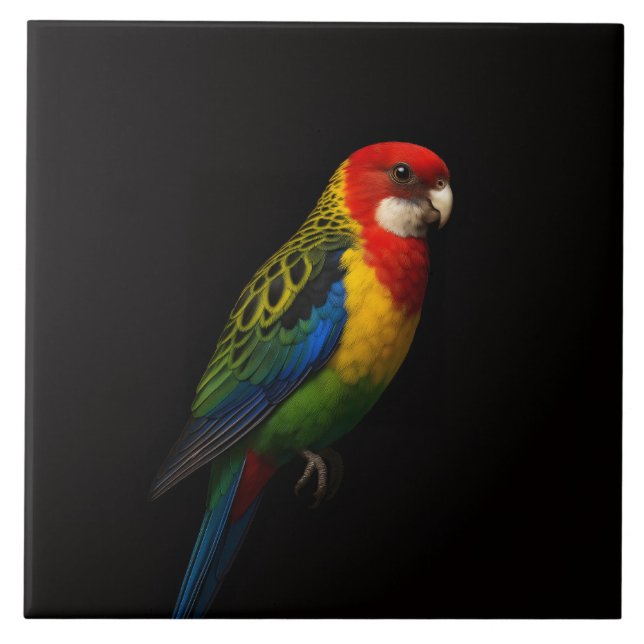 Black 4 Luxe Tile with Eastern Rosella Parrot (Front)