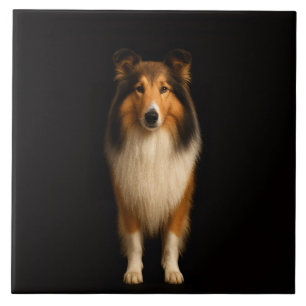 Black 4 Luxe Tile with Loyal Collie Dog