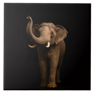 Black 4 Luxe Tile with Mighty Elephant