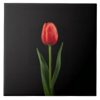 Black 4 Luxe Tile with Ruby Red Tulip