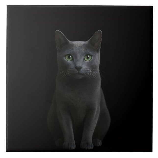 Black 4 Luxe Tile with Russian Blue Cat (Front)