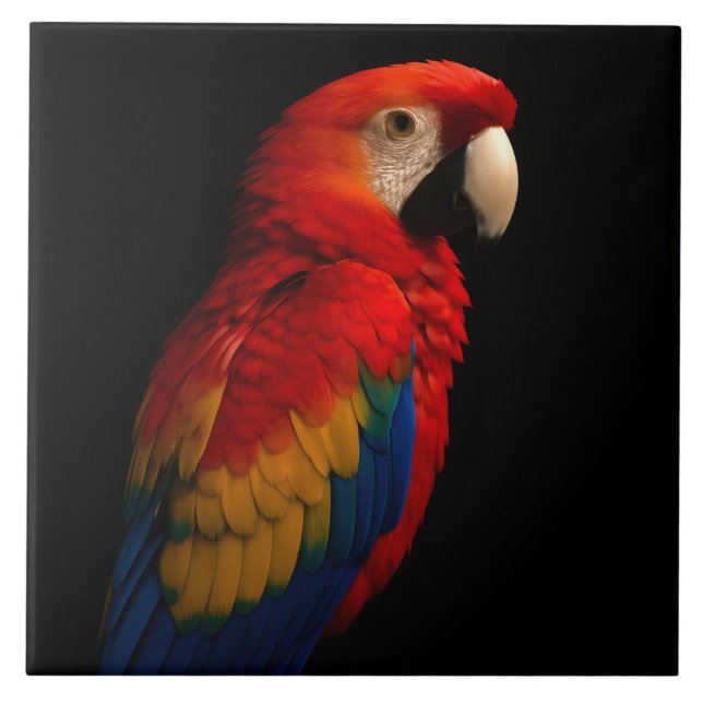 Black 4 Luxe Tile with Scarlet Parrot (Front)