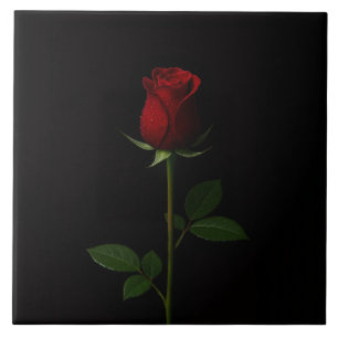Black 4 Luxe Tile with Velvet Red Rose