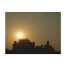 Black against the golden glow of the setting sun.