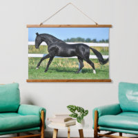 Black Akhal Teke Stallion Galloping Paddock Fence