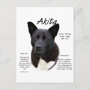 Black Akita History Design Postcard
