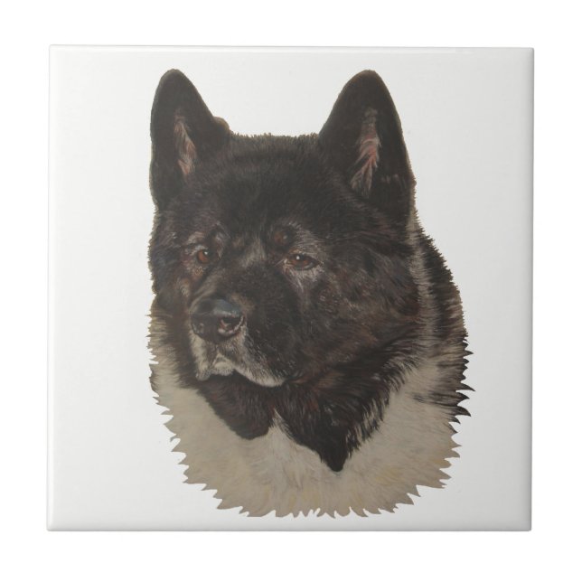 black akita with white chest dog portrait art tile (Front)