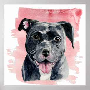 Black American Bulldog Watercolor Painting Poster