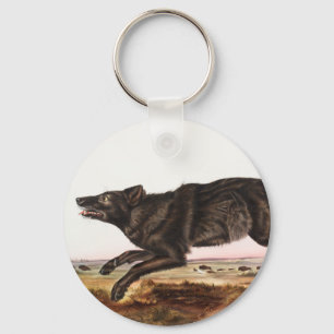 Black American Wolf (Canis lupus) Illustration Key Ring