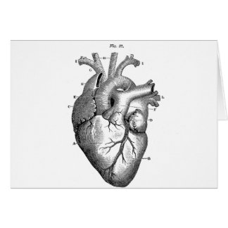 Black Anatomical Heart
