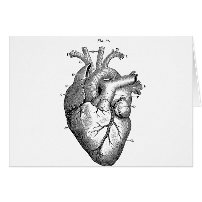 Black Anatomical Heart (Front Horizontal)