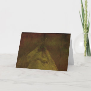 Black and Beautiful Horse Card