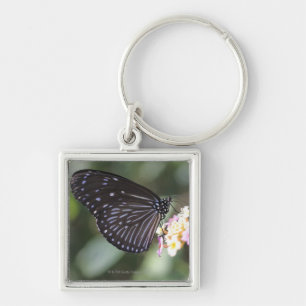Black and blue butterfly on flower key ring