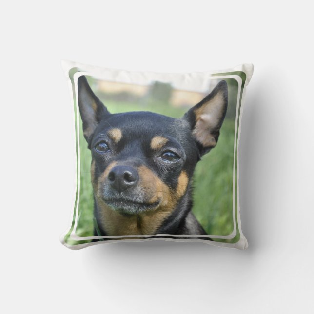 Black and Brown Chihuahua Pillow (Front)