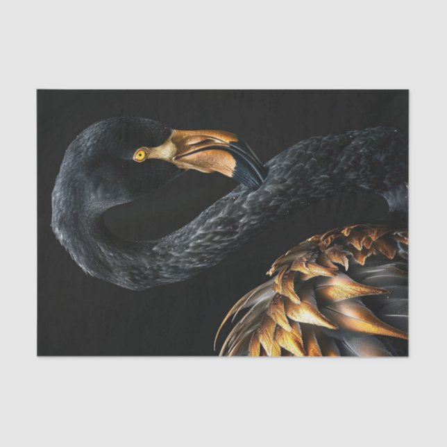 Black and Gold Flamingo5 Tissue Paper (Front)