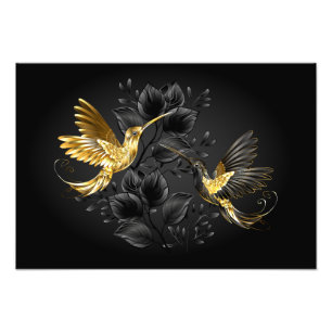Black and Gold Hummingbird Photo Print