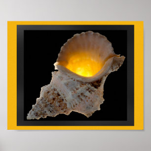 Black and Gold Tropical Seashell Printable Art  Poster